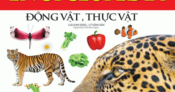 Bách Khoa Tri Thức Cho Trẻ Em - Động Vật Và Thực Vật (Bìa Cứng)