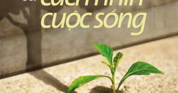 Điều Diệu Kỳ Từ Cách Nhìn Cuộc Sống