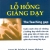 Lỗ Hổng Giảng Dạy