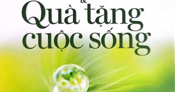 Hạt Giống Tâm Hồn - Chicken Soup For The Soul 1 - Chia Sẻ Tâm Hồn Và Quà Tặng Cuộc Sống