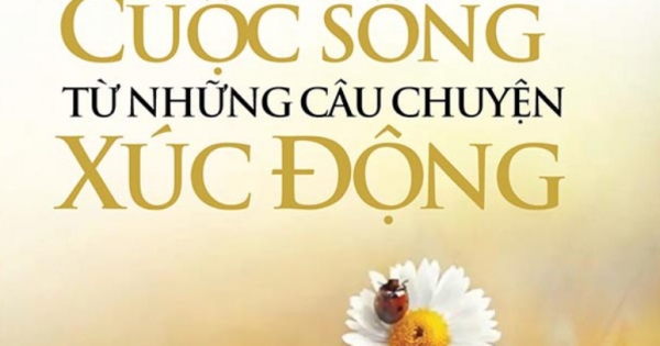 Chicken Soup For The Soul 2 - Quà Tặng Cuộc Sống Từ Những Câu Chuyện Xúc Động