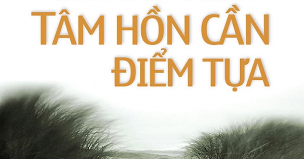 Hạt Giống Tâm Hồn - Chicken Soup For The Soul 10 - Dành Cho Những Tâm Hồn Cần Điểm Tựa