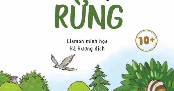Cây Kể Chuyện Rừng