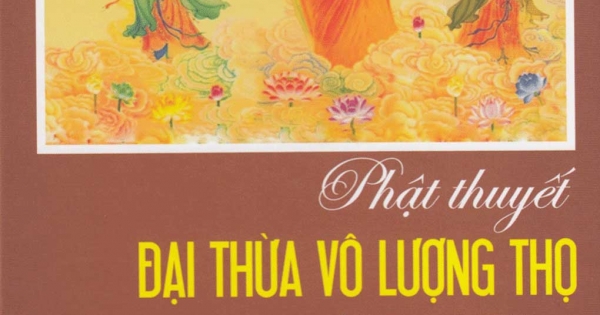 Phật Thuyết Đại Thừa Vô Lượng Thọ Trang Nghiêm Thanh Tịnh Bình Đẳng Giác Kinh Giảng Giải (Quyển 8)