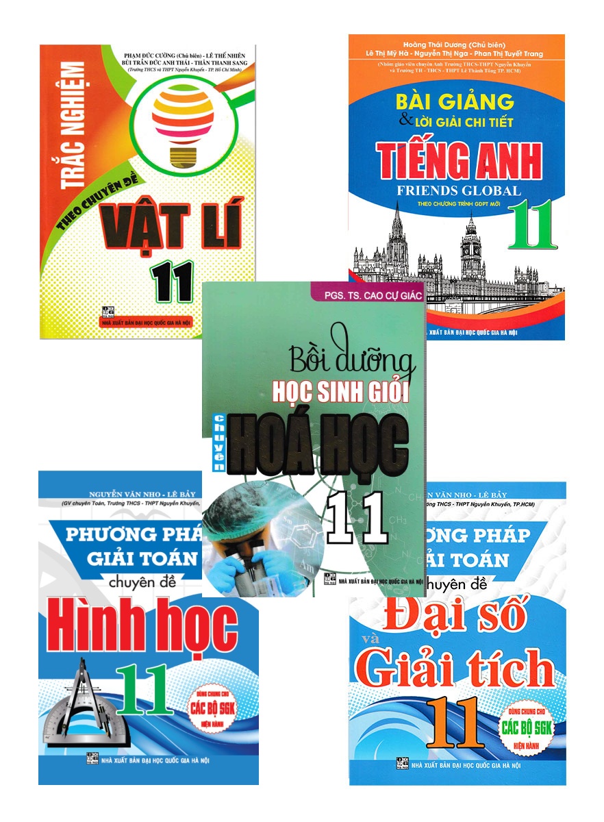 Combo Sách Tham Khảo Lớp 11 Do Giáo Viên Trường THCS Và THPT Nguyễn Khuyến Biên Soạn 
