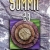 Summit 2B: Workbook & Super CD-Rom