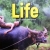 Life A1-A2: Student Book with Online Workbook 2ND Edition