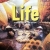 Life (BrE) (2 Ed.) A2-B1: Student Book with Code Online Workbook