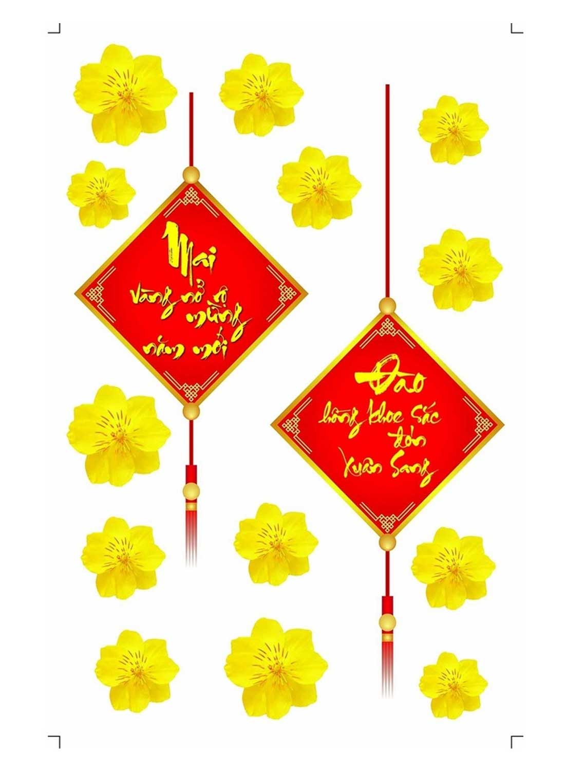 Decal Mai Vàng Nở Rộ Mừng Năm Mới - Đào Hồng Khoe Sắc Đón Xuân Sang