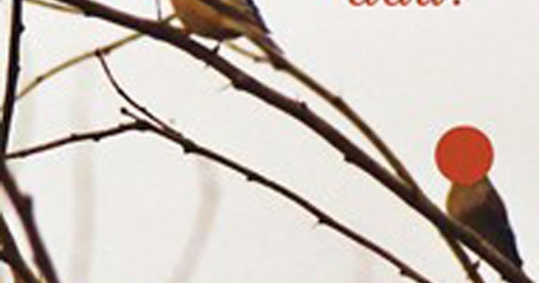 Ba Ơi Mình Đi Đâu