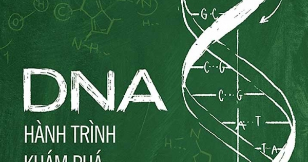 DNA : Hành Trình Khám Phá Cấu Trúc Chuỗi Xoắn Kép