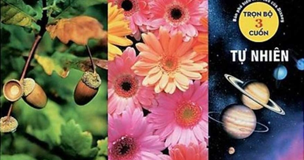 Bách Khoa Toàn Thư Đầu Tiên Của Tôi Cùng Gấu Pooh Và Các Bạn - Tự Nhiên