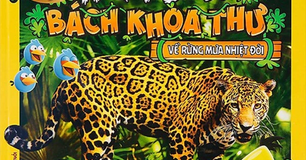 Angry Birds - Bách Khoa Toàn Thư Về Rừng Mưa Nhiệt Đới