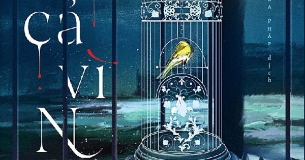 Tất Cả Vì N | Newshop.vn: Sách, Truyện, Tiểu Thuyết