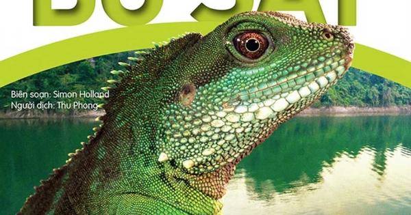 Bách Khoa Tri Thức Về Khám Phá Thế Giới Cho Trẻ Em - Reptiles - Bò Sát