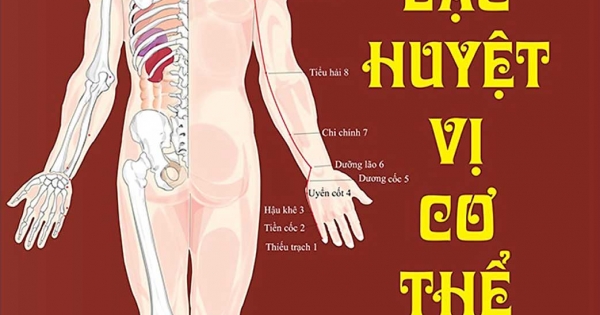 Đồ Giải Kinh Lạc Huyệt Vị Cơ Thể
