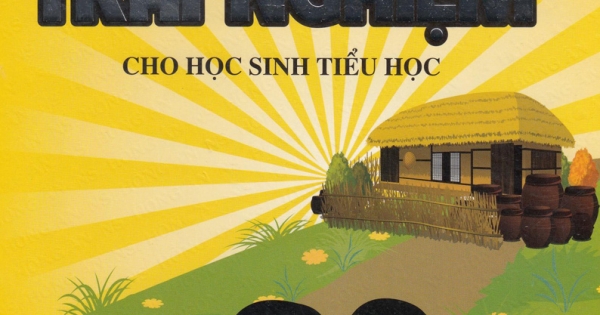 Tổ Chức Hoạt Động Trải Nghiệm Cho Học Sinh Tiểu Học