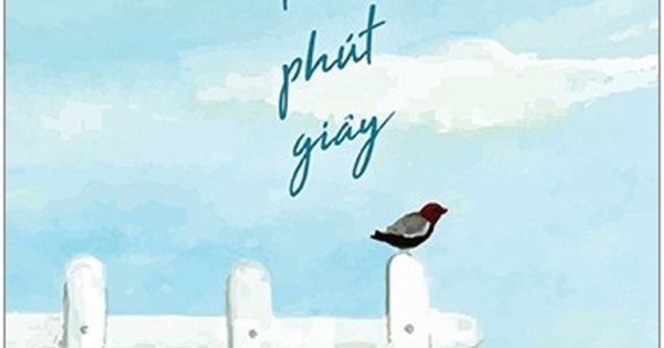 Thiền Trong Từng Phút Giây