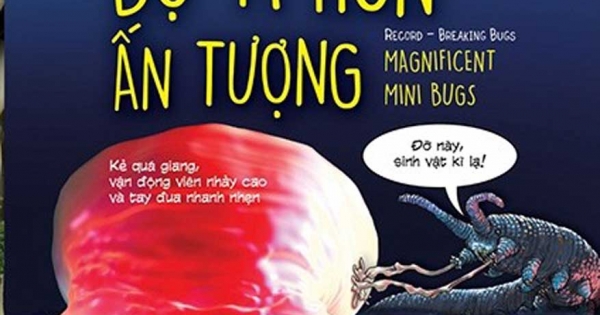 Những Loài Bọ Phá Kỉ Lục - Bọ Tí Hon Ấn Tượng