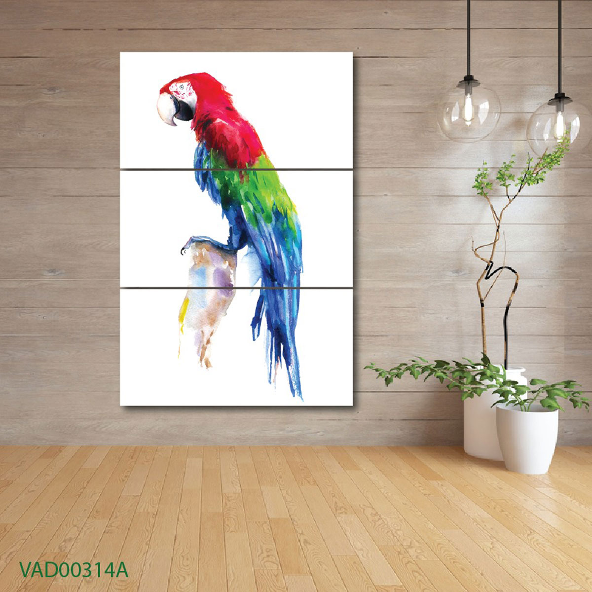 Vẹt Nam Mỹ Scarlet Macaw con Trống | 5giay