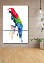 Tranh Treo Tường Vẹt Scarlet Macaw (3 Tấm 40x60 Cm)