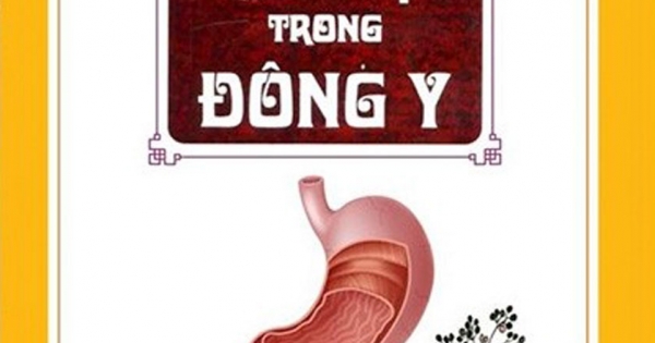 Tỳ Vị Trong Đông Y