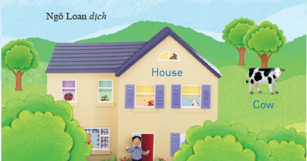 Từ Vựng Tiếng Anh Hằng Ngày - Everyday Words In English