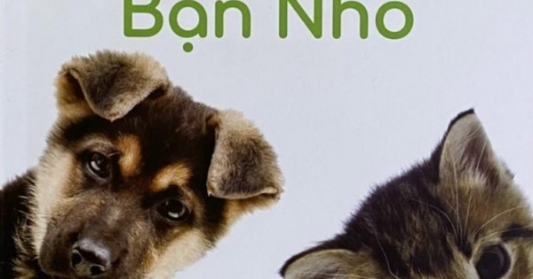 Hạt Giống Tâm Hồn - Chicken Soup For The Soul - Những Người Bạn Nhỏ