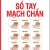 Sổ Tay Mạch Chẩn - Lâm Chính Hoành