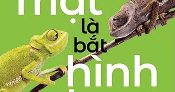 Nhìn Mặt Là Bắt Hình Dong