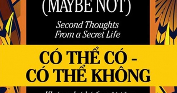 Có Thể Có - Có Thể Không - Maybe (Maybe Not): Second Thoughts From A Secret Life