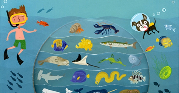 Xuyên Qua Lòng Biển