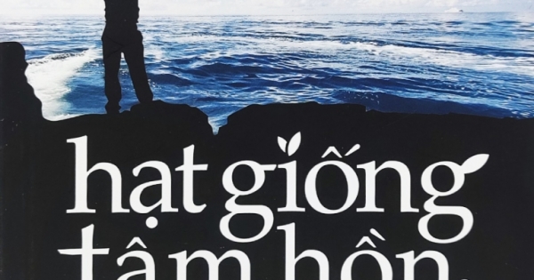 Hạt Giống Tâm Hồn 11 - Những Trải Nghiệm Cuộc Sống