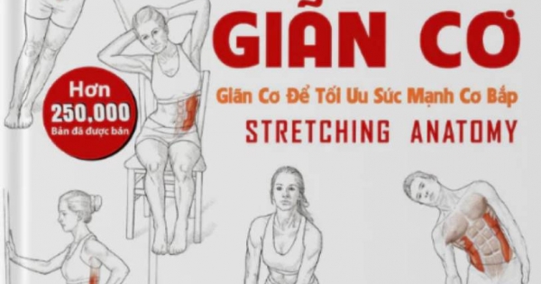 Giải Phẫu Học Về Giãn Cơ