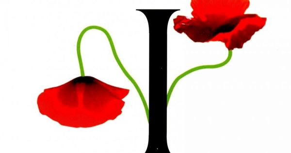 Hệ Miễn Dịch Tâm Hồn