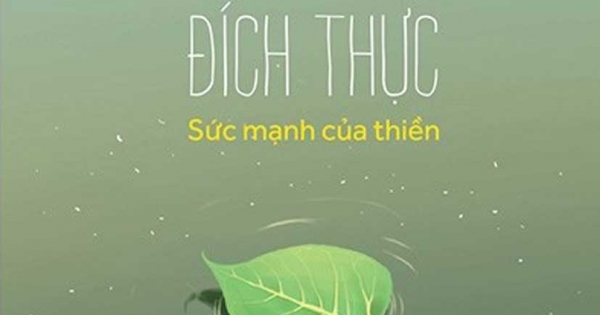 Hạnh Phúc Đích Thực - Sức Mạnh Của Thiền