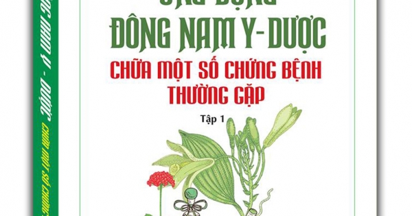 Ứng Dụng Đông Nam Y - Dược Chữa Một Số Chứng Bệnh Thường Gặp (Tập 1)