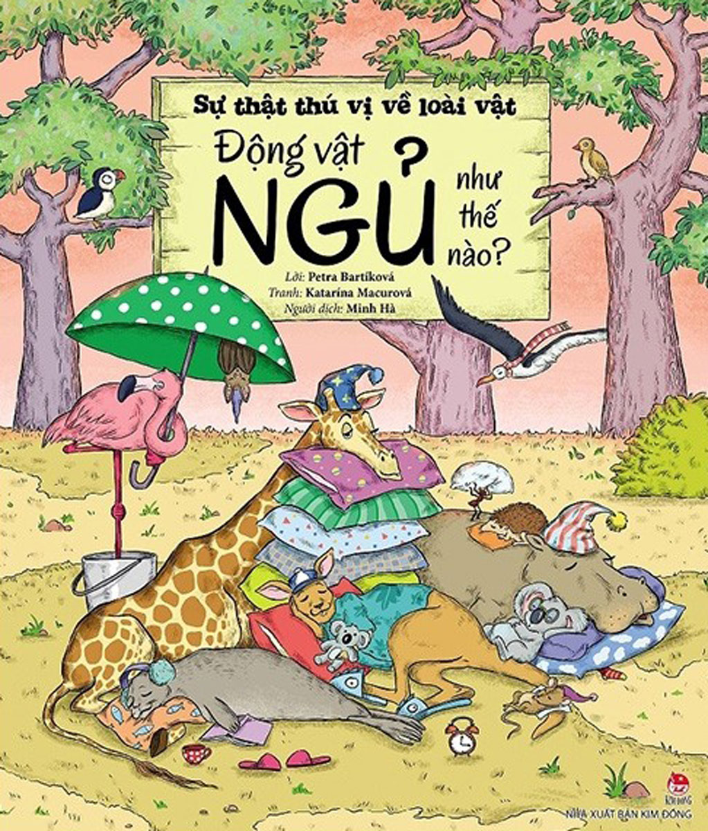 Sự Thật Thú Vị Về Loài Vật: Động Vật Ngủ Như Thế Nào?