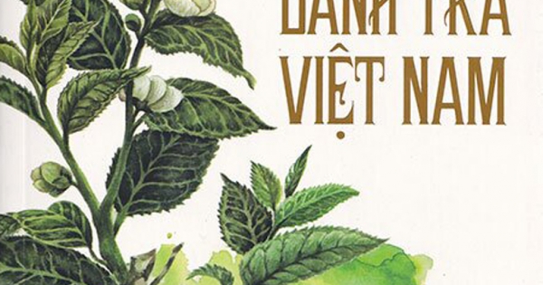 Phác Thảo Danh Trà Việt Nam