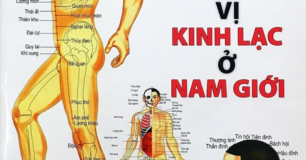 Đồ Hình Huyệt Vị Kinh Lạc Ở Nam Giới