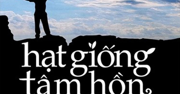 Hạt Giống Tâm Hồn 7 - Những Câu Chuyện Cuộc Sống