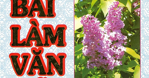 Những Bài Làm Văn Mẫu 2 - Tập 2