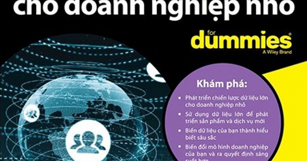 Dữ Liệu Lớn Cho Doanh Nghiệp Nhỏ For Dummies