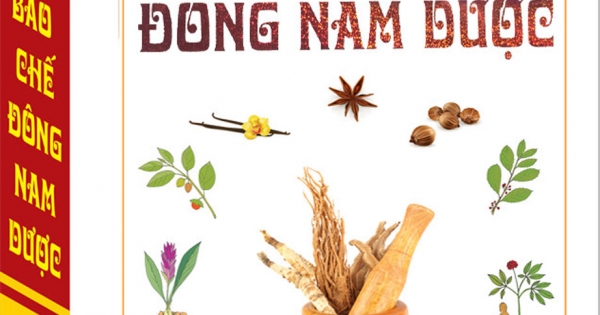 Bào Chế Đông Nam Dược