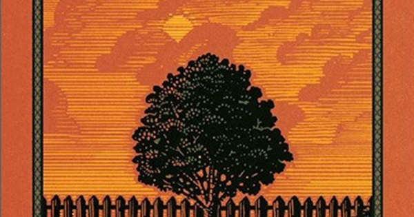 Cây Cam Ngọt Của Tôi