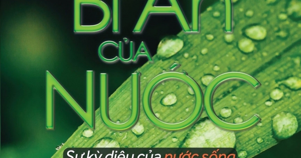 Bí Ẩn Của Nước - Giải Mã Sự Kỳ Diệu Của Nước Sống - The Hidden Secrets Of Water