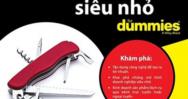 Doanh Nghiệp Siêu Nhỏ For Dummies