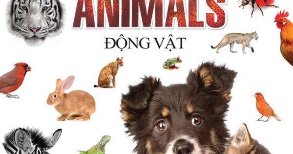 Bách Khoa Toàn Thư Cho Bé - Động Vật