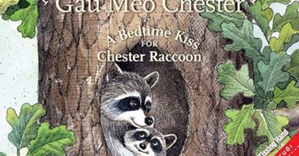 Nụ Hôn Chúc Ngủ Ngon Dành Cho Gấu Mèo Chester