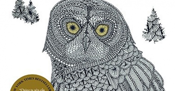 Siêu Trí Tuệ - Superintelligence